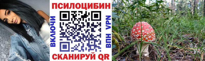 blacksprut ссылки  Тамбов  Псилоцибиновые грибы мицелий 