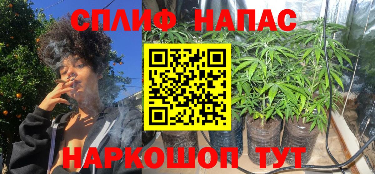 Тамбов  Конопля Bruce Banner  Бошки Шишки сатива  Марихуана THC 21%  Вход с VPN 